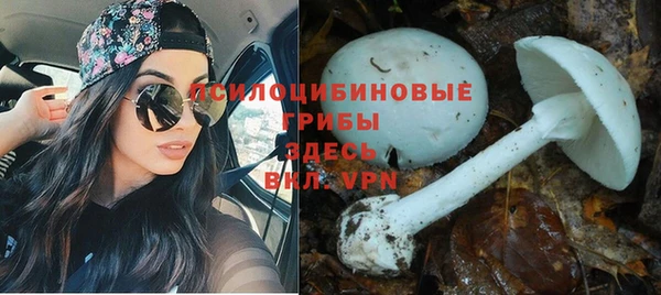 стаф Рославль
