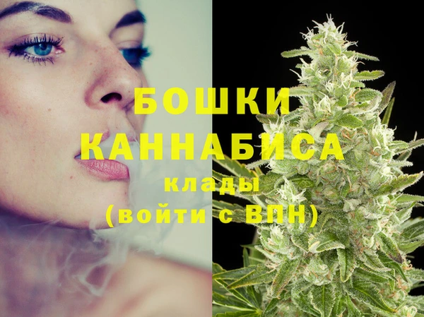 MESCALINE Вяземский