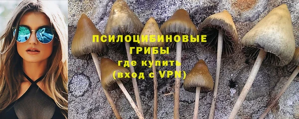 MESCALINE Вяземский