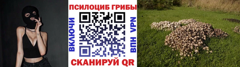 Галлюциногенные грибы MAGIC MUSHROOMS Муром